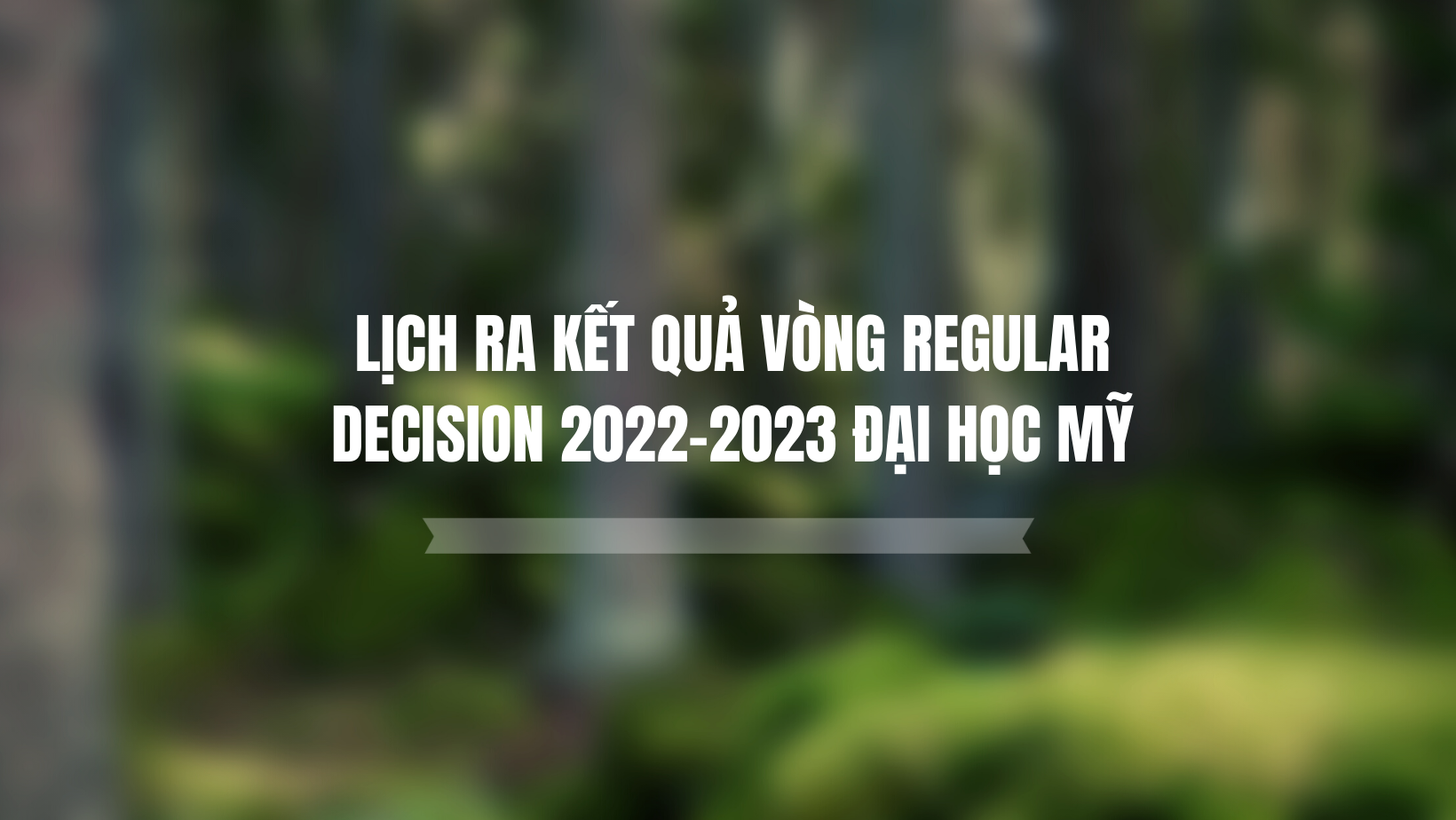 LỊCH RA KẾT QUẢ VÒNG REGULAR DECISION 2022-2023 ĐẠI HỌC MỸ